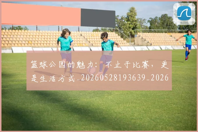 篮球公园的魅力：不止于比赛，更是生活方式_20260528193639_20260610170313