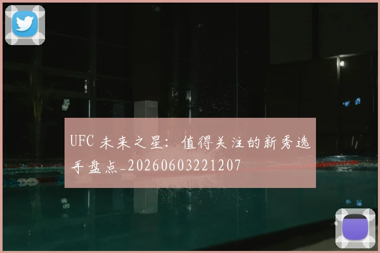 UFC 未来之星:值得关注的新秀选手盘点_20260603221207