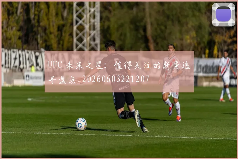 UFC 未来之星:值得关注的新秀选手盘点_20260603221207